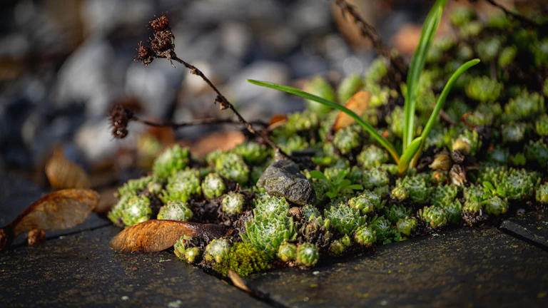 2026년 가성비 배상책임보험 지급 거절 대처법 1