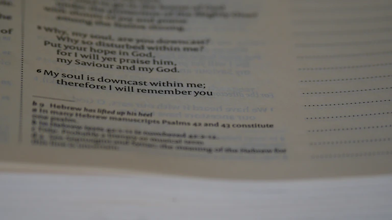 종신보험 상속세 팁 및 합법적인 세금 절약 비결 (2026년) 8 세금 계산기와 절세 관련 서류들이 놓여 있는 책상