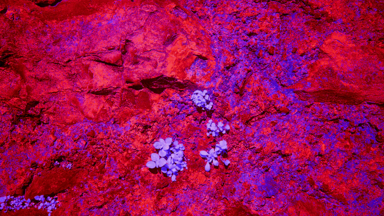 갑상선 질환 있어도 걱정 끝 유병자 실비 보험, 항진증/저하증 약 복용 중 가입 가능한 상품 추천 7 갑상선