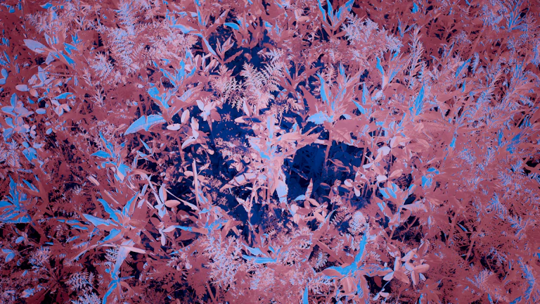 여러 암보험 상품의 특징을 비교하는 플래카드를 보여주는 모습