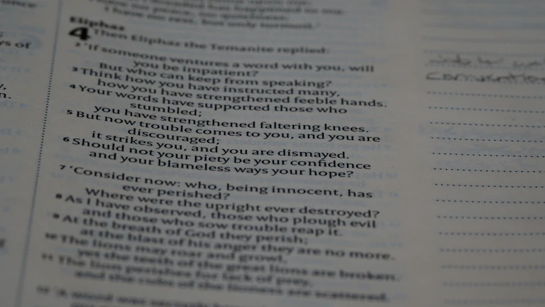 다양한 의료 서류와 영수증이 쌓여 있는 모습