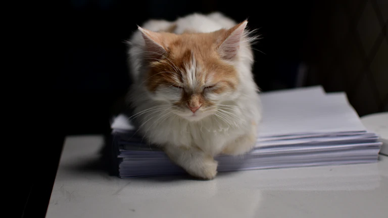 뇌혈관 질환 후유장해 보험금 지급 거절 시 2026년 대처법 1