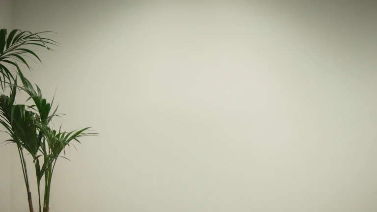 50대 부모님을 위한 든든한 비갱신 암보험 설계와 보장 분석 1