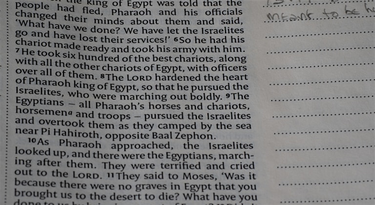 연금 수령액을 계산기로 두드리는 모습