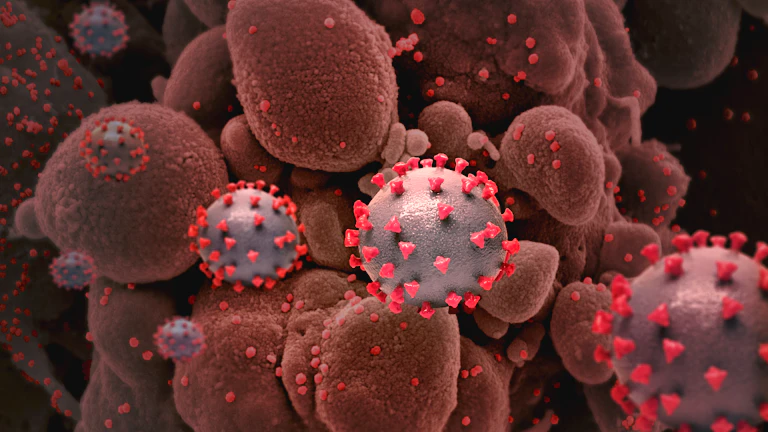 암보험 면역항암제 지급거절 대처법과 후기 1