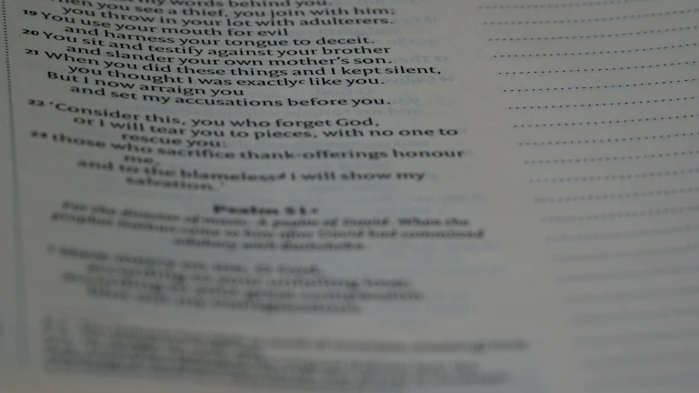 보험 증권 조항을 클로즈업한 모습