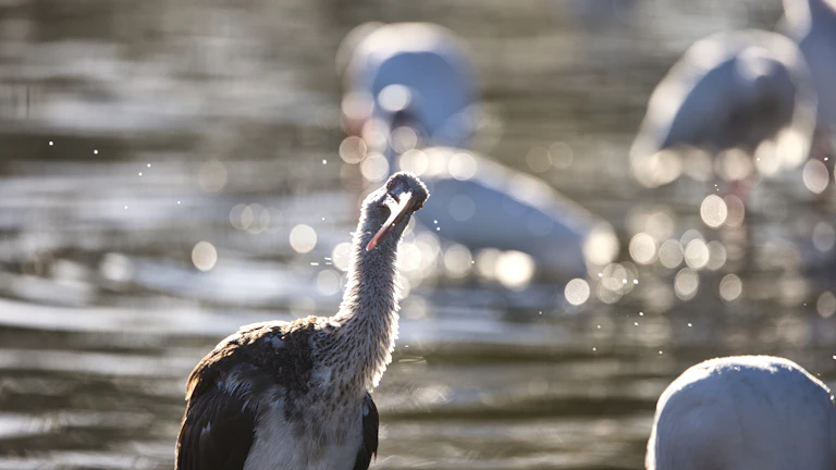 2026년 놓치면 후회할 치명적 실수와 대처법 7 복잡한 고지서를 보고 당황하는 사람