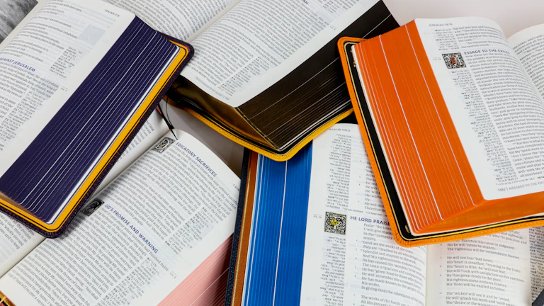 다양한 보험 서류를 검토하는 모습