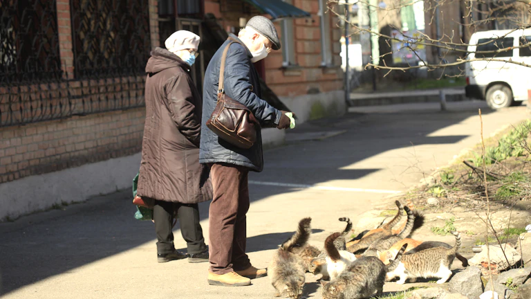 뇌졸중 재활치료 보험금 지급 거절 대처 (2026년) 1