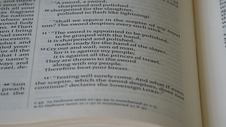 12대 중과실 사고 보장 3가지 핵심 비교 8 망치와 법전