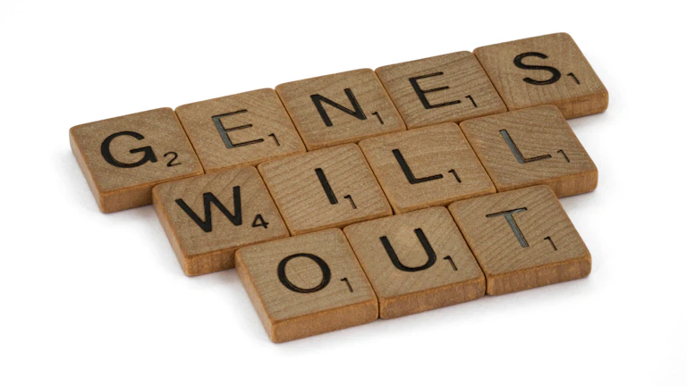 세대 전환, 부의 지도가 바뀐다! 지금 당신만 알아야 할 재테크 필승 전략 7 세대 간 부의 이동을 나타내는 다이어그램