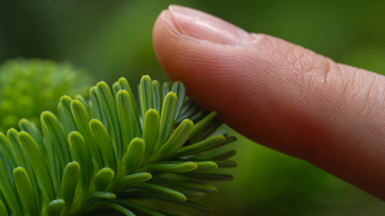 실손보험 지급 거절 시 3가지 핵심 대응 전략과 승인 후기 8 돋보기로 보험 서류를 자세히 살펴보는 손