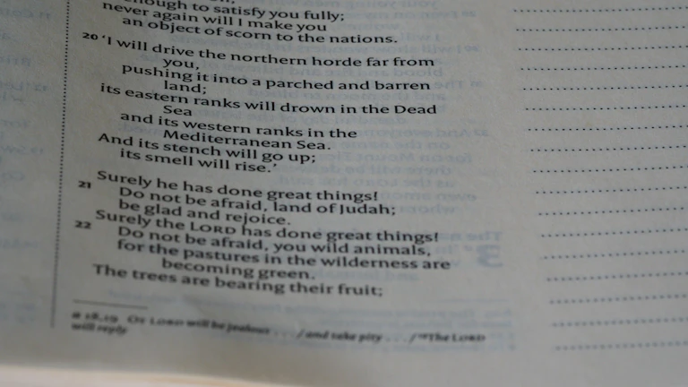 실손 보험료 폭탄 실제 사례로 분석한 2026년 비급여 할증 대응책 1