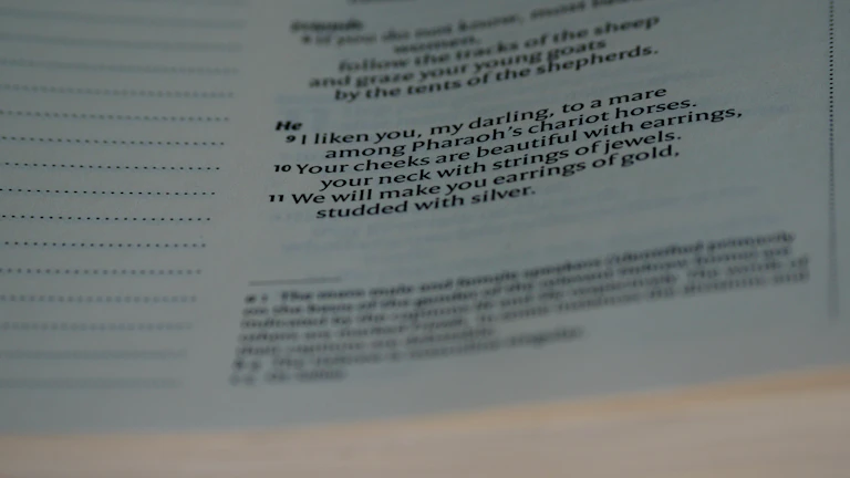 보험금 청구 서류와 돋보기