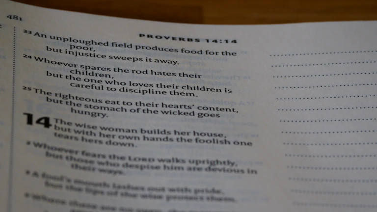 발달지연 거절 대처 및 2026 설계 8 보험 청구 서류와 돋보기