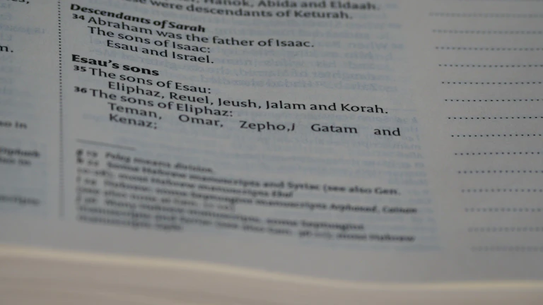 꼼꼼하게 준비한 보험 청구용 진단서와 영수증 서류들