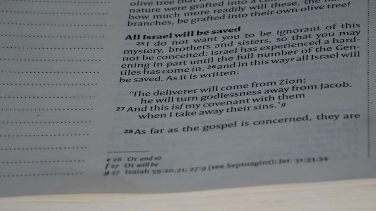 양성자 실비 후기 및 거절 대처법 8 보험사로부터 받은 거절 통보 서류와 약관을 꼼꼼히 대조하는 환자의 손