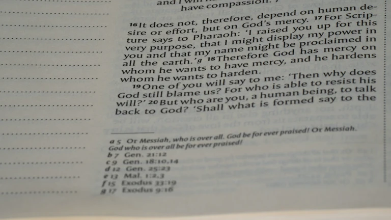 임플란트 지급 후기와 거절 대응법 8 보험금 분쟁 해결을 위한 법적 근거 및 서류 준비 이미지