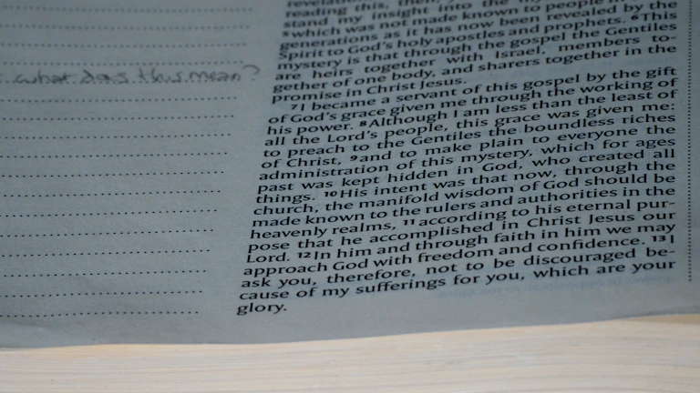 법률 서류와 망치