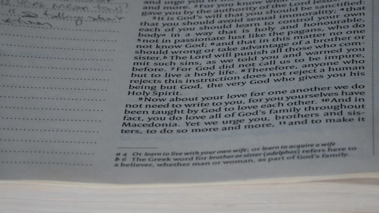 보험 약관 서류와 의사봉이 놓여 있는 모습으로 법적 대응과 전문성을 상징