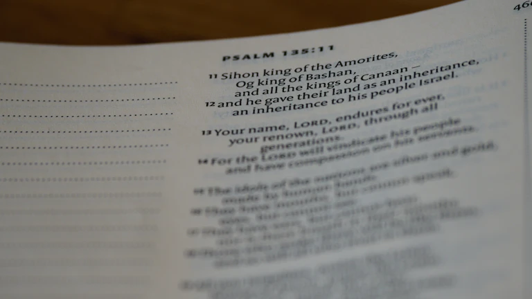 4세대 실손보험 할증 계산기 활용 비급여 할증 등급 확인 및 보험료 방어 전략 1