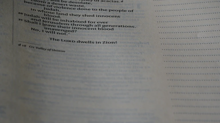 4세대 실손 비급여 할증 기준 2026년 대응법 1