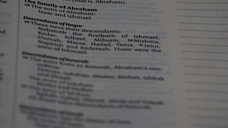 4세대 실손보험 비급여 할인 할증 2026년 할증 방지 실제 사례 대응법 1