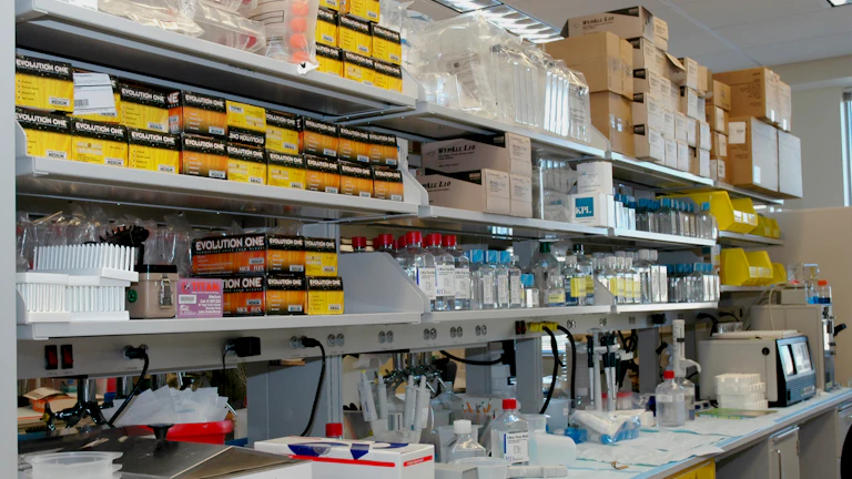 카티세포 보험 2026년 지급거절 대응법 1