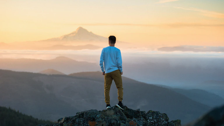 보험 약관을 꼼꼼히 분석하는 사람