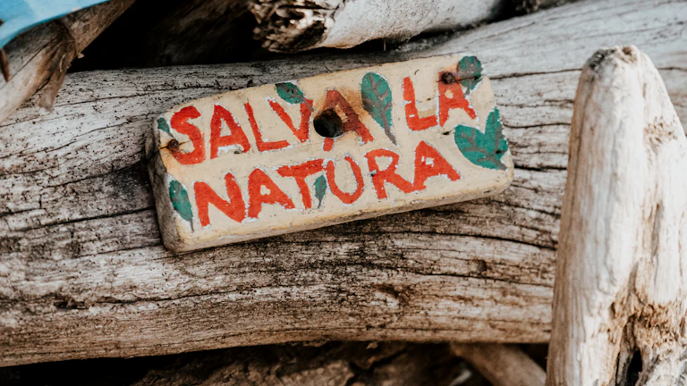 은행 적금 갈아탈까? 단기납 종신보험 10년 환급률 비교로 본 '돈 복사' 재테크 비결 1