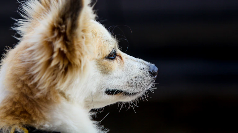 안경을 쓰고 진지하게 서류를 검토하는 금융 전문가