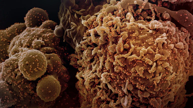 50대 부모님을 위한 든든한 비갱신 암보험 설계와 보장 분석 8 50대 이상 연령층의 주요 암 발병률을 보여주는 그래프