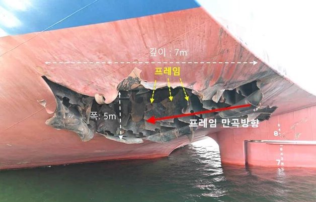 나무호 뜻과 검색하는 이유는 무엇일까 9