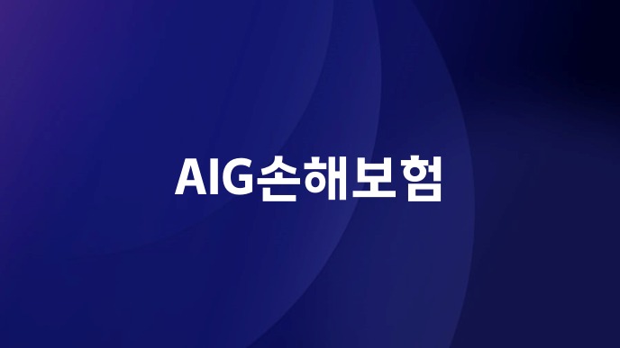 AIG손해보험