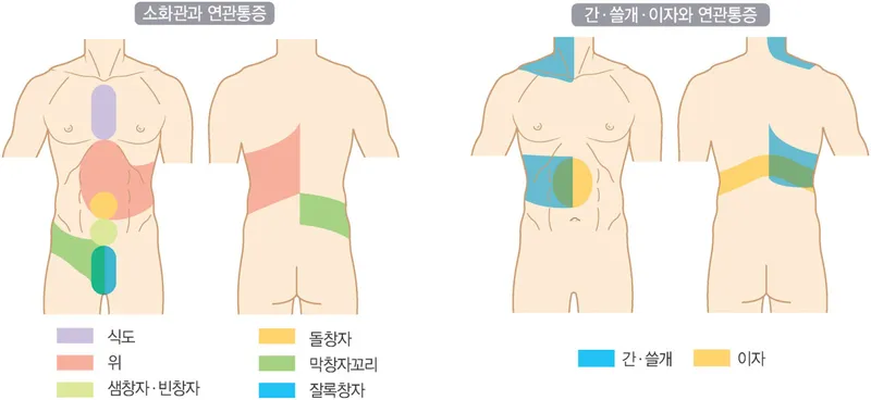 오른쪽 아랫배 통증 원인별 구분과 병원 가야 할 때 1