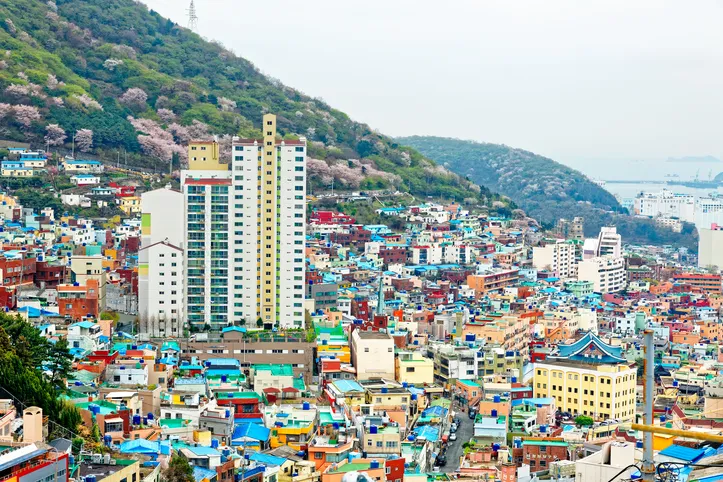 부산 주차장과 차량 동선