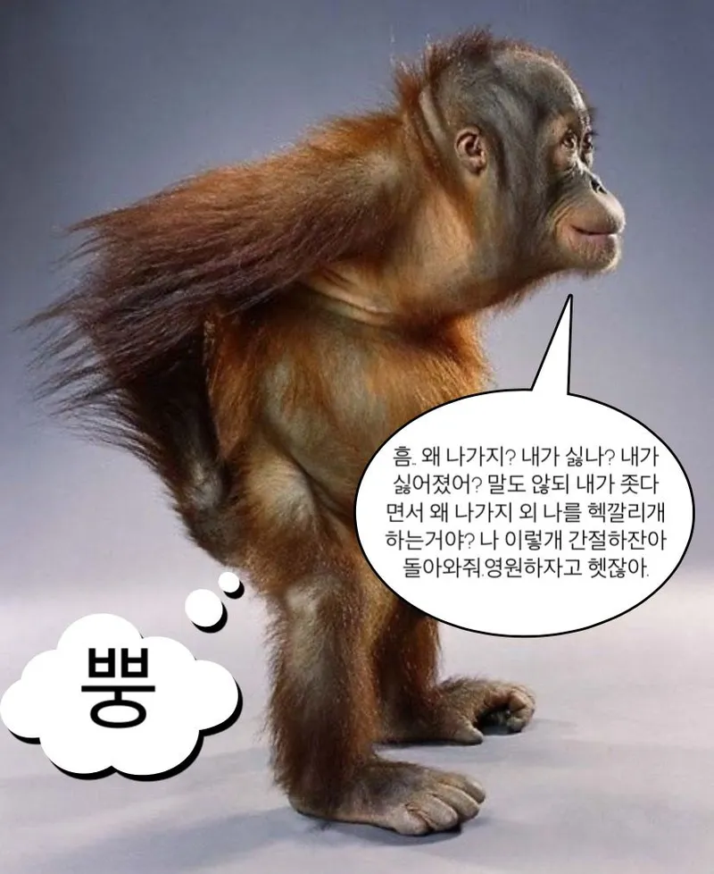 카페에서 이야기하는 장면