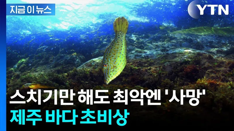 집에서 간단히 즐기는 추리 게임 분위기