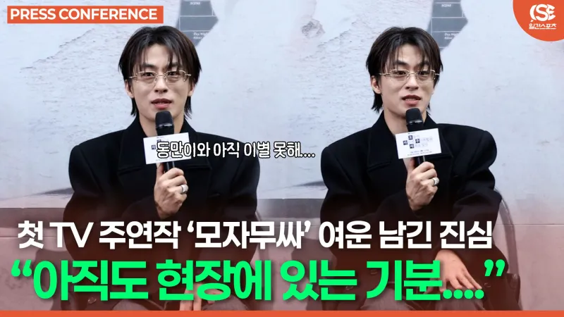 가벼운 댓글과 밈이 오가는 온라인 분위기