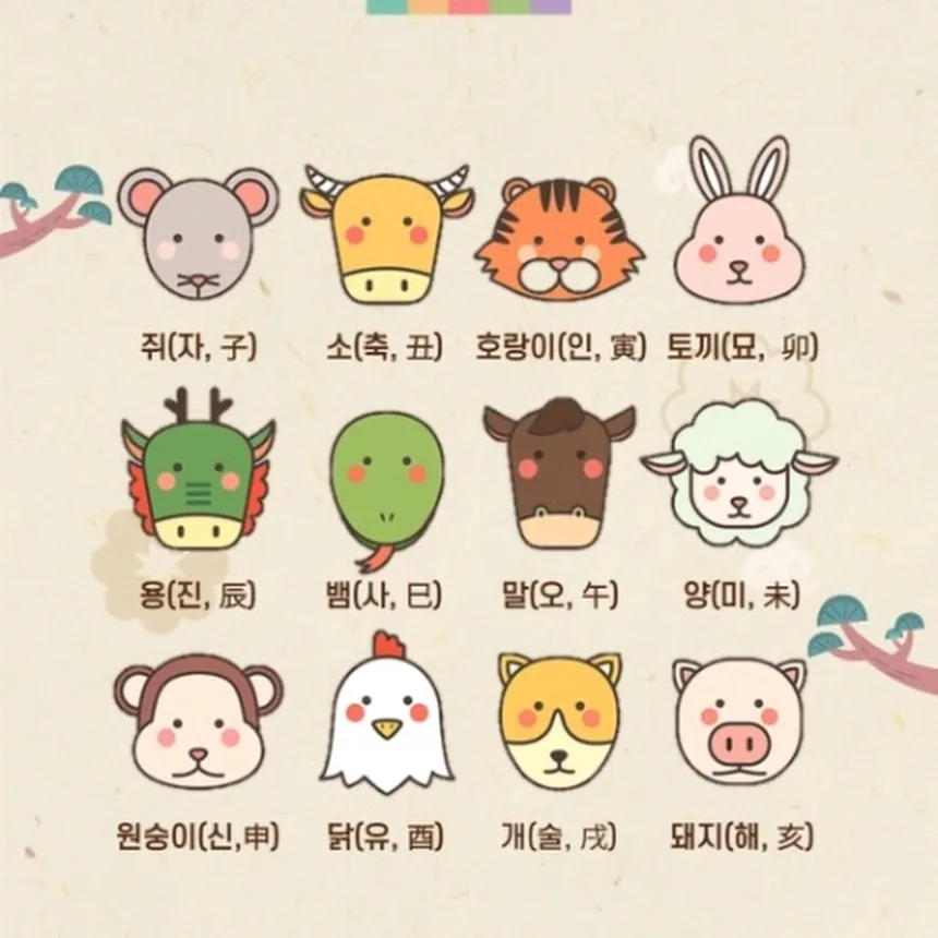 12간지 순서를 질문답변 카드처럼 정리한 이미지