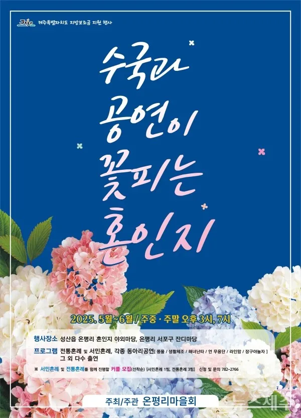 여러 색 수국이 모여 있는 꽃밭