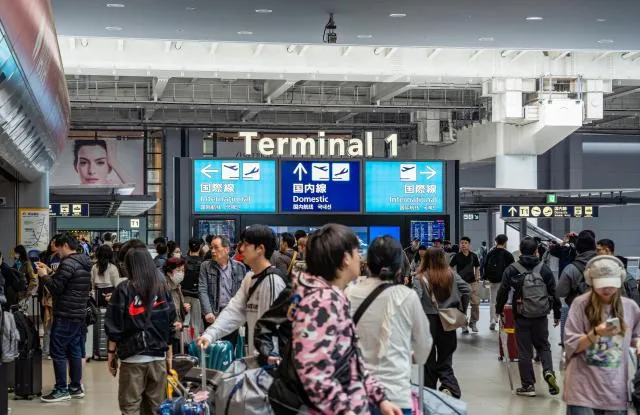 세관 QR 화면을 떠올리게 하는 이미지