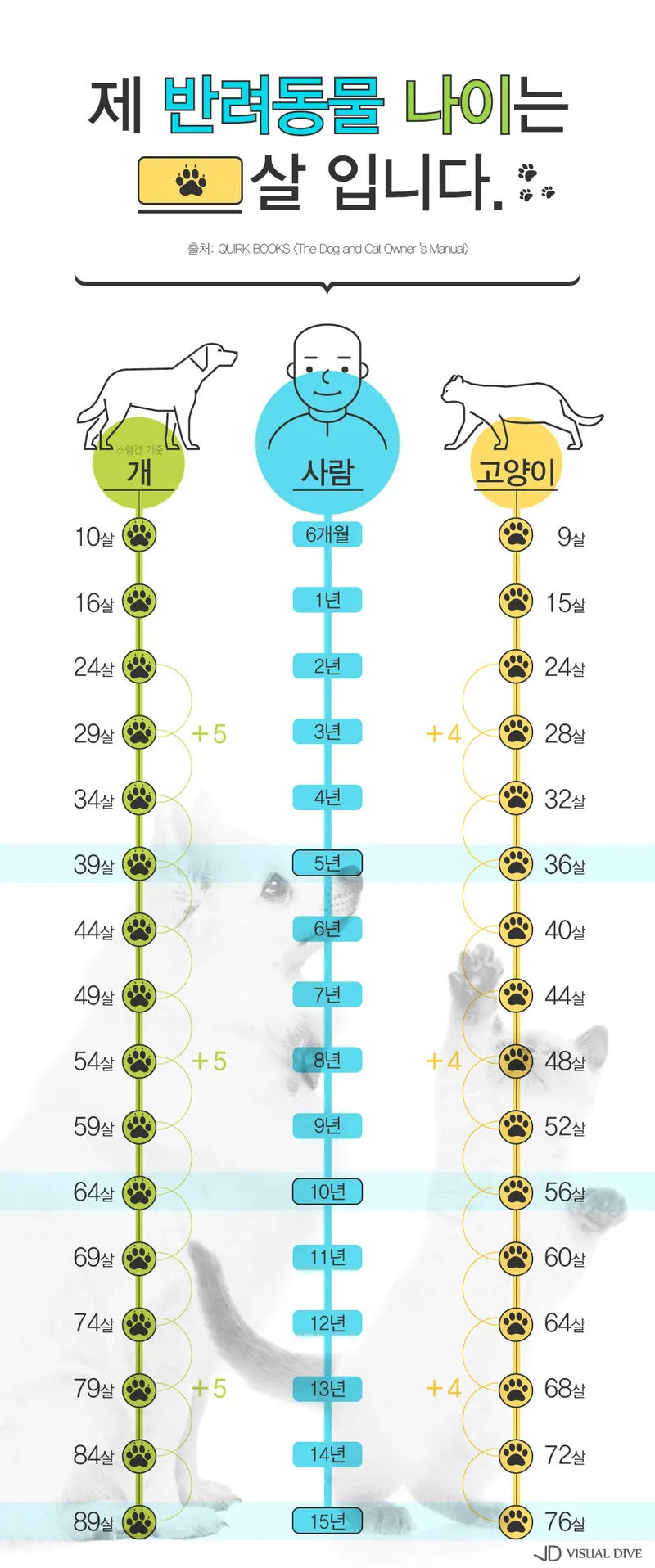 강아지 나이 사람 나이로 바꾸는 법과 계산 기준 1