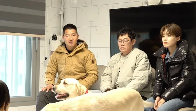 말티푸의 일상 관리 루틴을 챙기는 모습