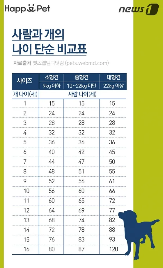 반려견 생일과 나이 계산 메모