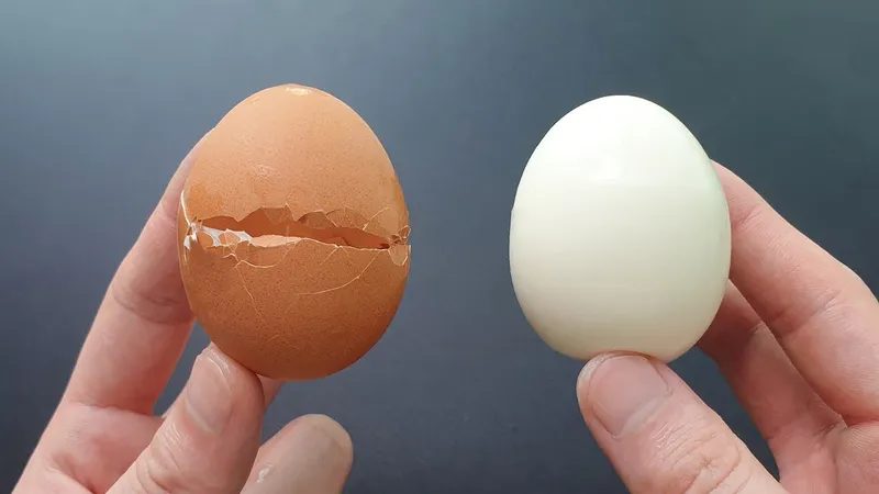 계란 표기 숫자를 크게 확대해 본 장면