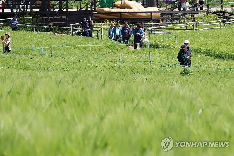 가족 나들이와 들판 산책