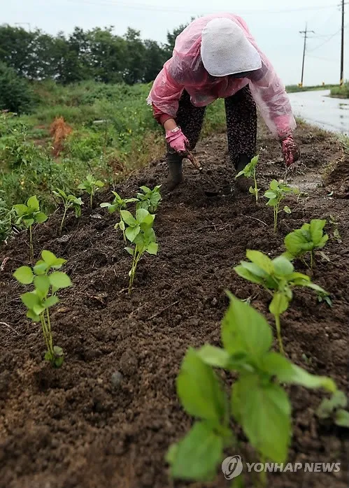밭 작업 전 체크리스트를 확인하는 모습
