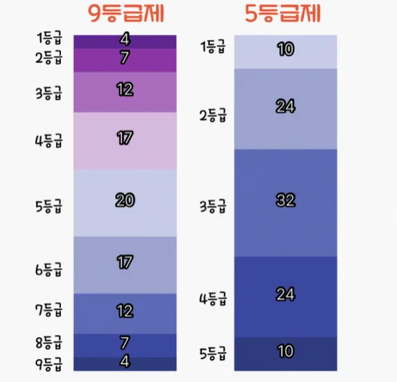 5등급 비율은 왜 높아졌나 원인과 확인 포인트 1