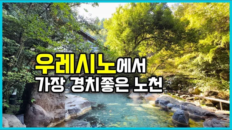 후쿠오카 라멘과 현지 먹거리